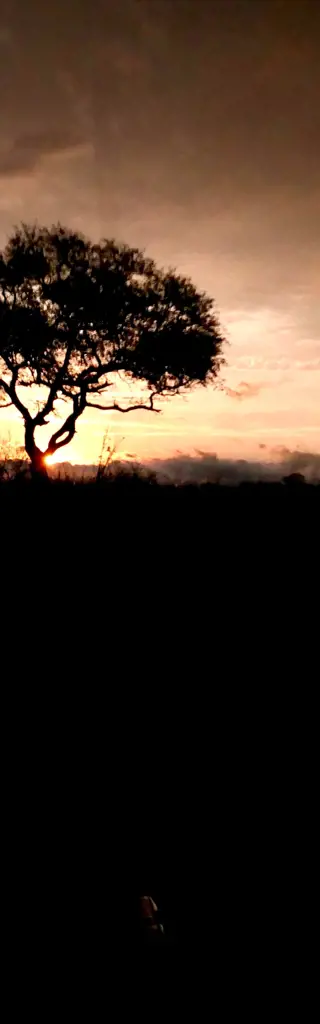 Kombireise - Botswana, Sabi Sands & Victoriafälle